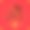 2019年猪年贺卡。图片下载