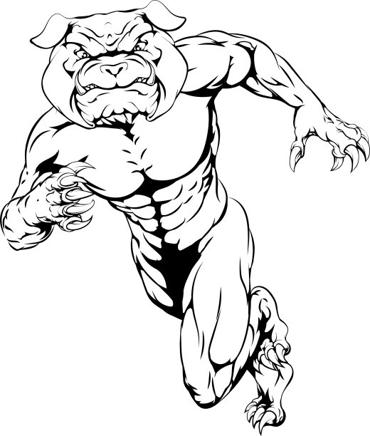 运行艰难的斗牛犬图片下载