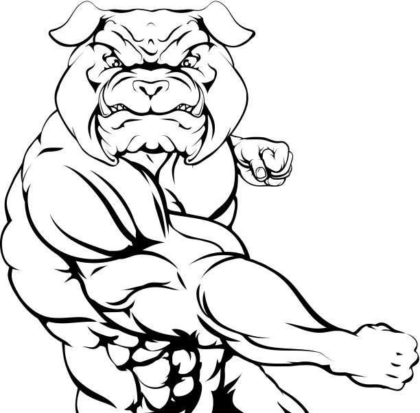 战斗斗牛犬图片下载