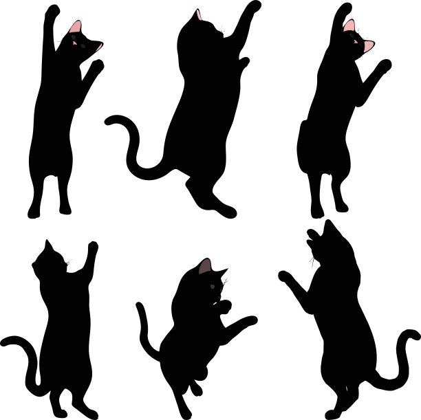 伸展式中猫的侧影图片下载