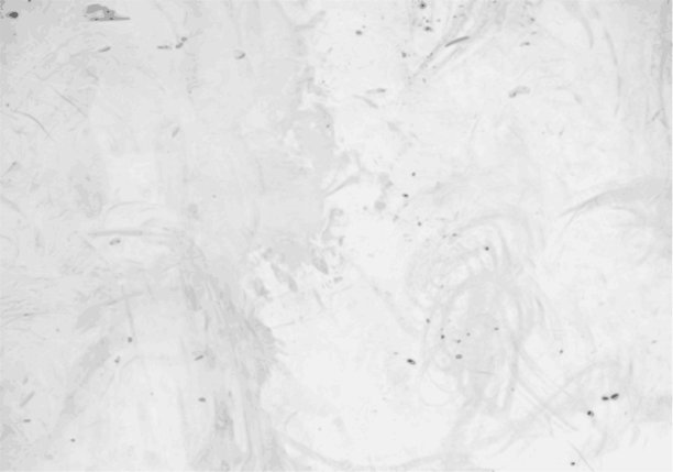 向量肮脏的白色混凝土墙背景图片下载