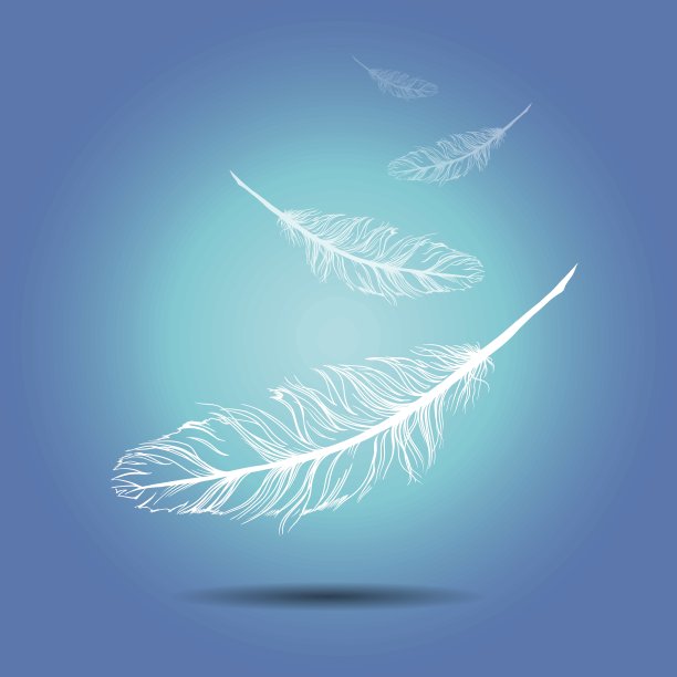 白色背景的飞行羽毛。每股收益10图片下载