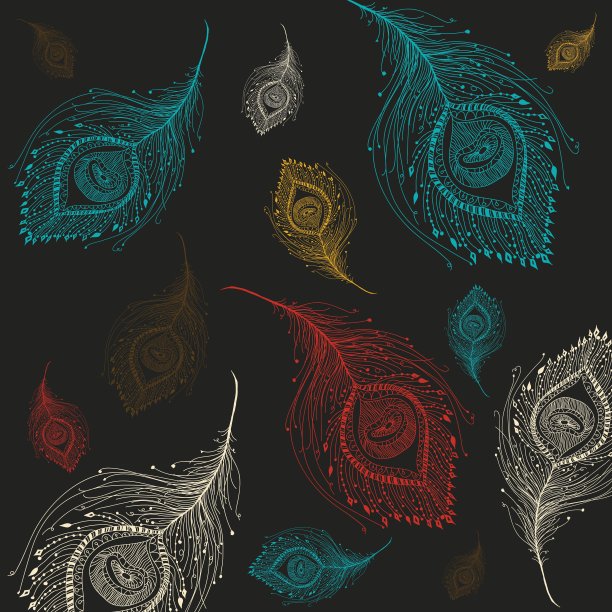 灰色背景的孔雀羽毛。图片下载