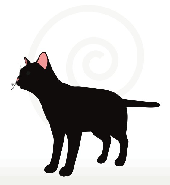 猫的轮廓图片下载