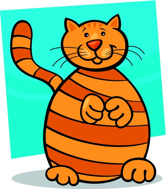 黄色虎斑猫图片下载