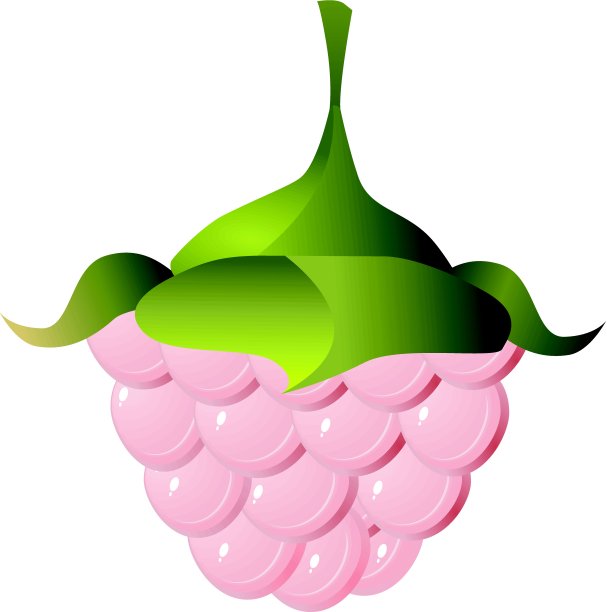 树莓的矢量图像图片下载