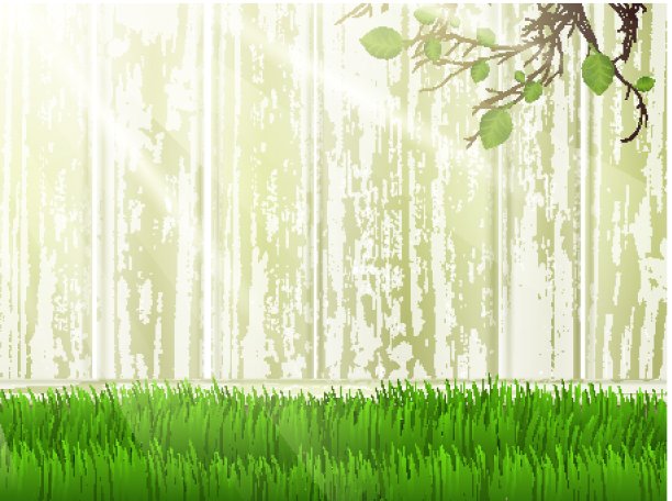 阳光明媚的草坪庭院图片下载