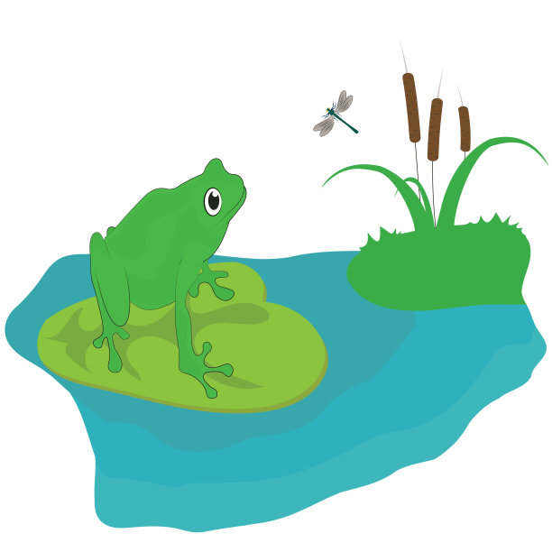 饥饿的青蛙图片下载