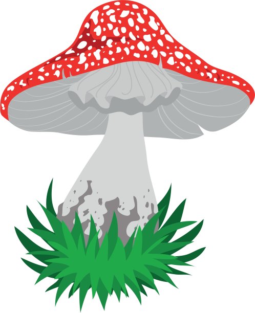 安妮塔。图片下载