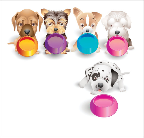 小狗是用托盘装食物的图片下载