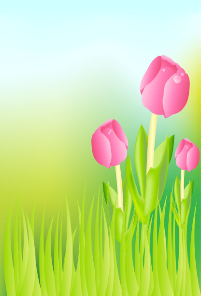 郁金香在草地上图片下载