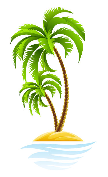 岛上的热带棕榈图片下载