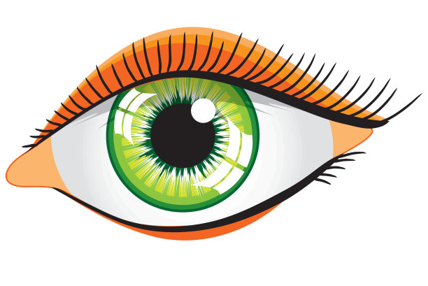 向量绿色女人的眼睛图片下载