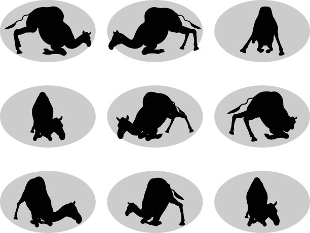 骆驼卸载姿势图片下载