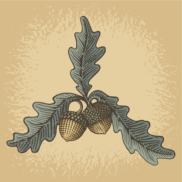 橡子木刻图片下载