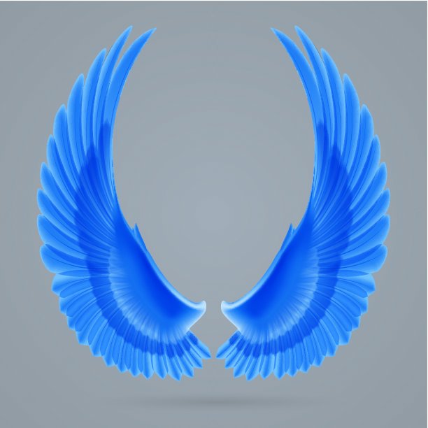 激励的翅膀图片下载