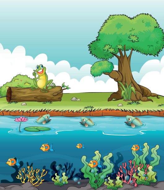 一条河和一只微笑的青蛙图片下载