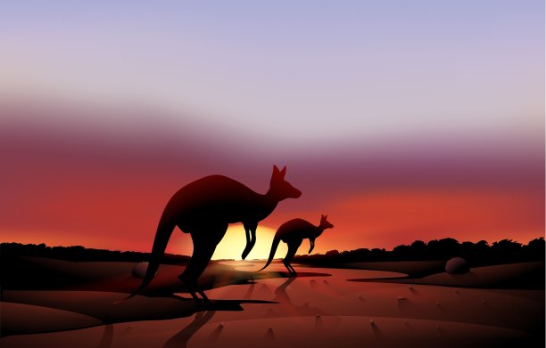 沙漠里有一只大袋鼠和一只小袋鼠图片下载