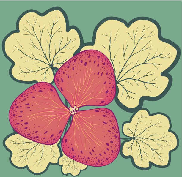 矢量花背景设计图片下载