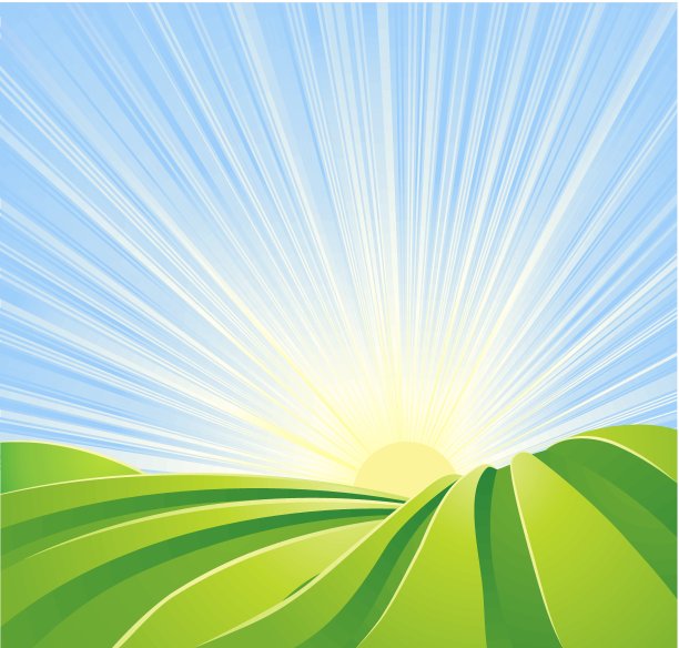 田园诗般的绿色田野，阳光和蓝天素材图片