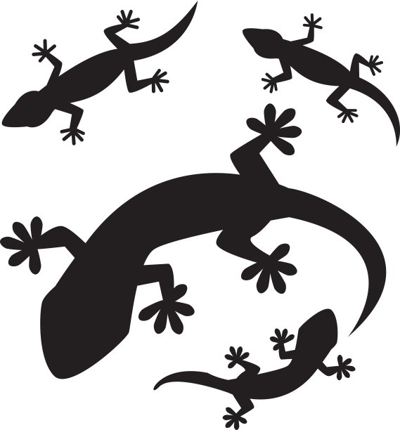 一组蜥蜴剪影，孤立在白色背景上图片下载