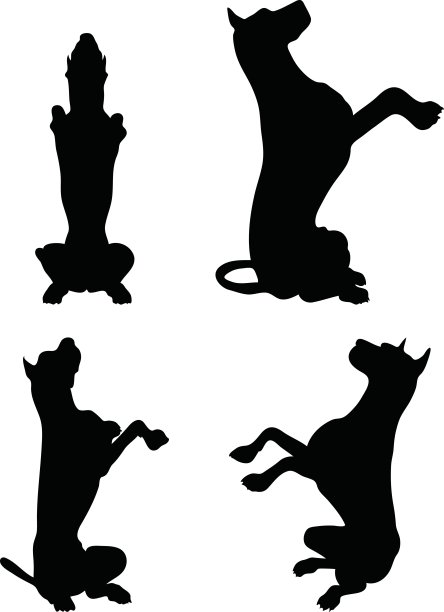 狗的侧影乞求式图片下载