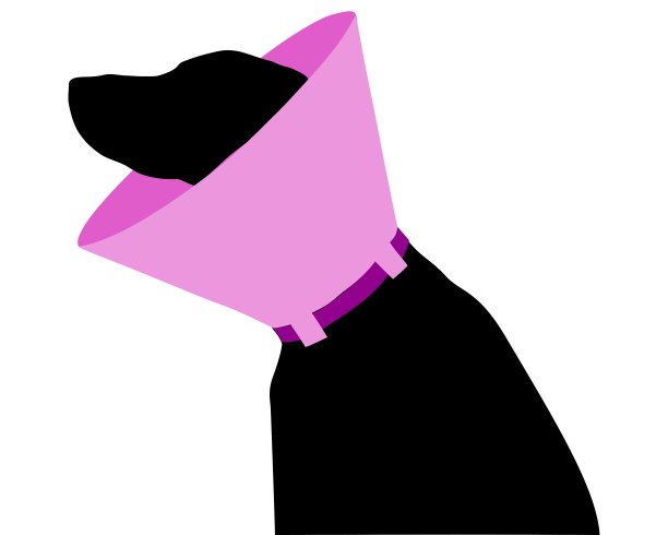 狗有飞边图片下载