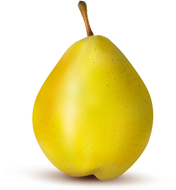 Rpe梨孤立在白色。矢量图图片下载