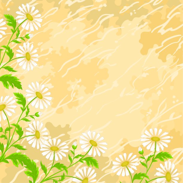 背景洋甘菊花卉图片下载