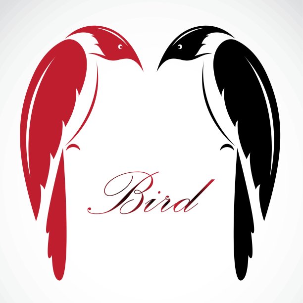 鸟的矢量图像图片下载