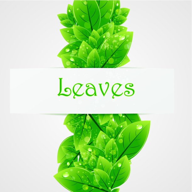 绿色的自然留下矢量背景图片下载