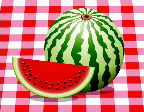 矢量西瓜和一片图片下载