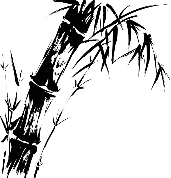 竹轮廓图图片下载