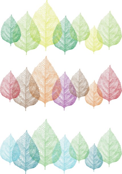多彩的叶子，向量集图片下载