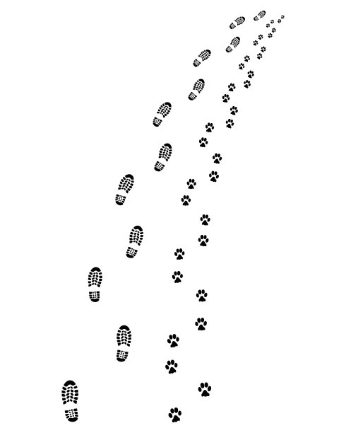 人和狗的脚印图片下载