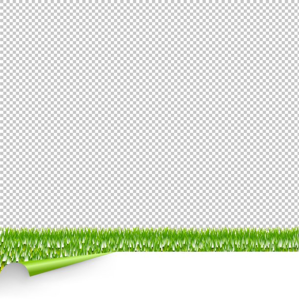 绿草边与白纸和角落透明背图片下载