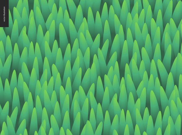 草无缝矢量图案。图片下载