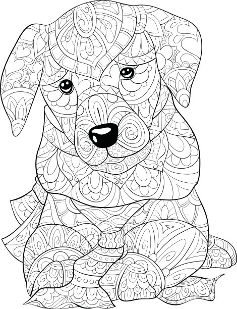 成人着色书，页一个可爱的狗图片放松。禅宗艺术年代图片下载