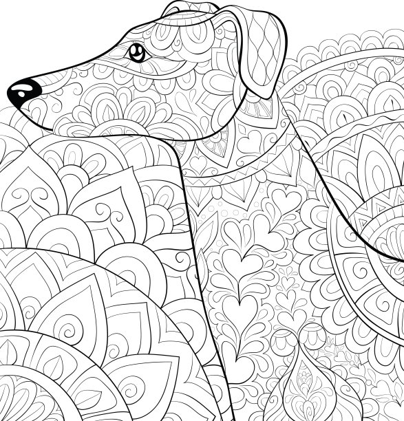 成人着色书，页一个可爱的狗图片放松。禅宗艺术年代图片下载