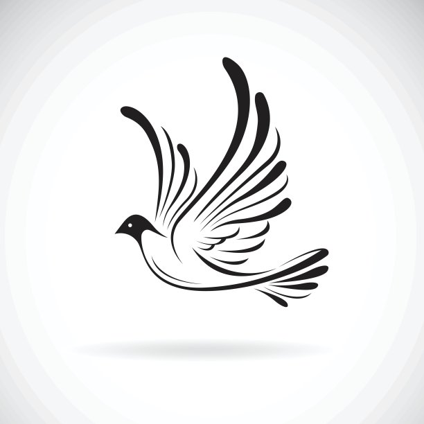 矢量鸟(鸽子)设计上的白色背景，。野生动物图片下载