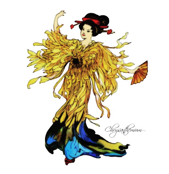 花的孩子菊花图片下载