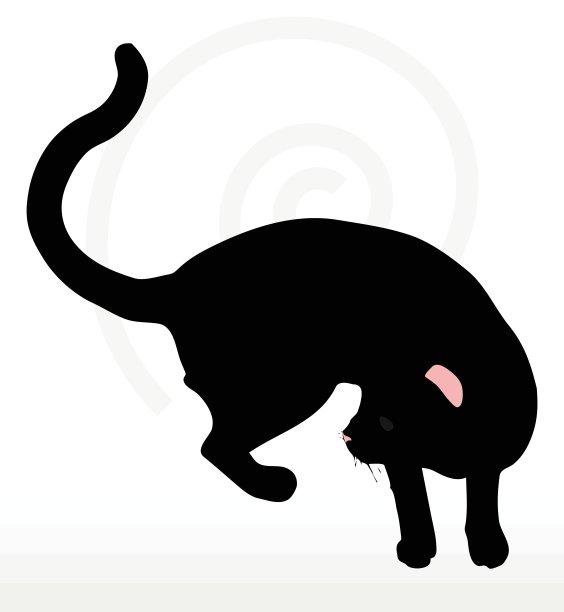 猫的轮廓图片下载