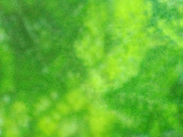 绿色的纹理图片下载