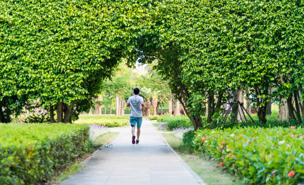 人在绿色的天然隧道里奔跑图片下载