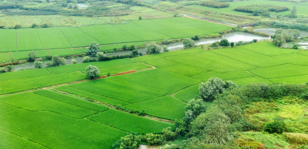 绿色田野的鸟瞰图图片下载
