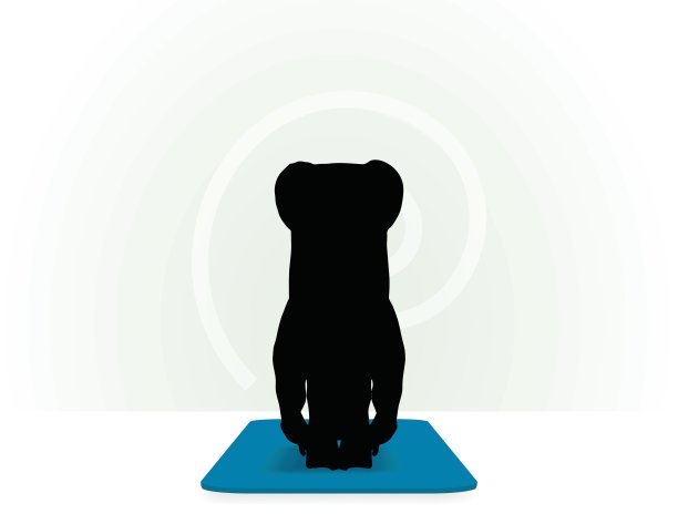 瑜伽姿势孤立在白色背景上图片下载