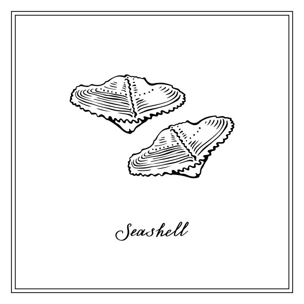 两个小贝壳。黑白方形卡片。手绘贺卡集。矢量插图。图片下载