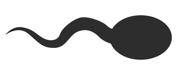 单精子向量图片下载