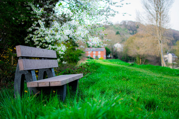 公园的长椅图片下载