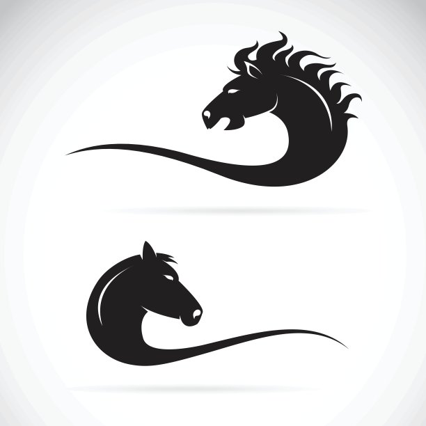 矢量马头设计在一个白色的背景。图片下载